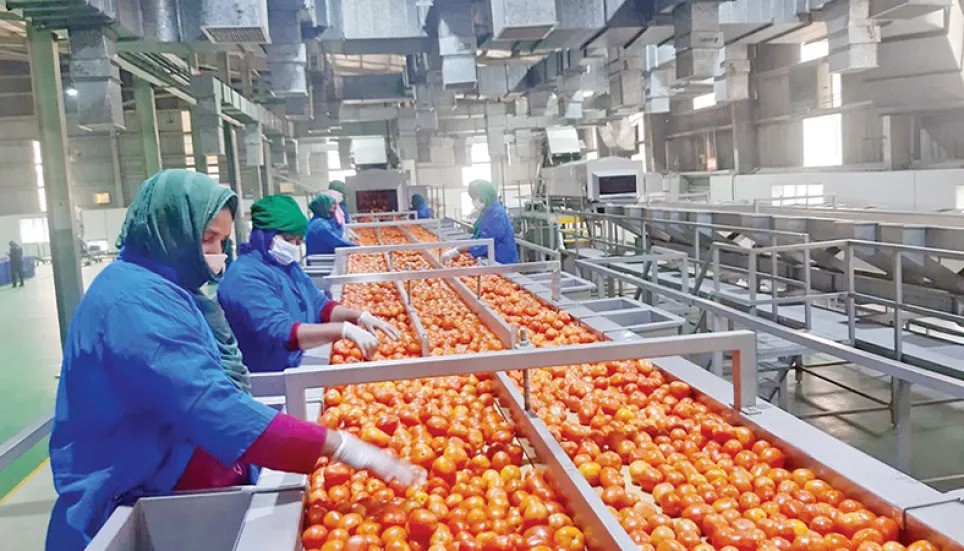 PRAN has been supporting businesses like Sky Plus Trading Company